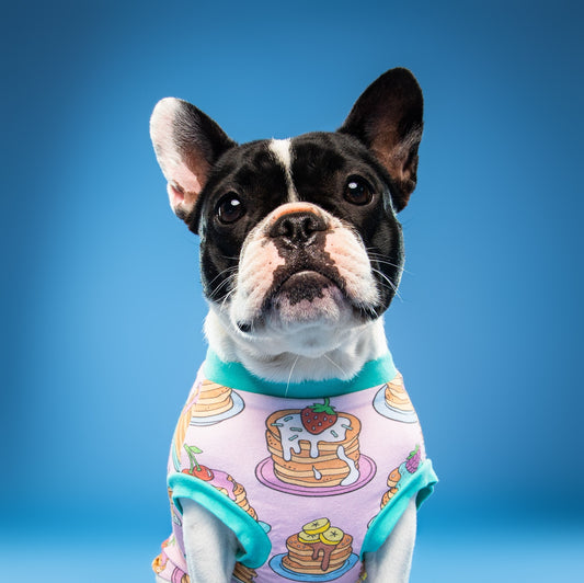 Pancake dog t-shirt